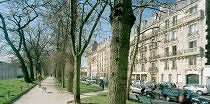 Tissu urbain"parisien".